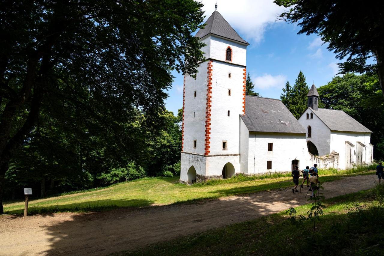 Pohorje Village Wellbeing Resort - Forest Hotel Videc Хочко Похорє Екстер'єр фото