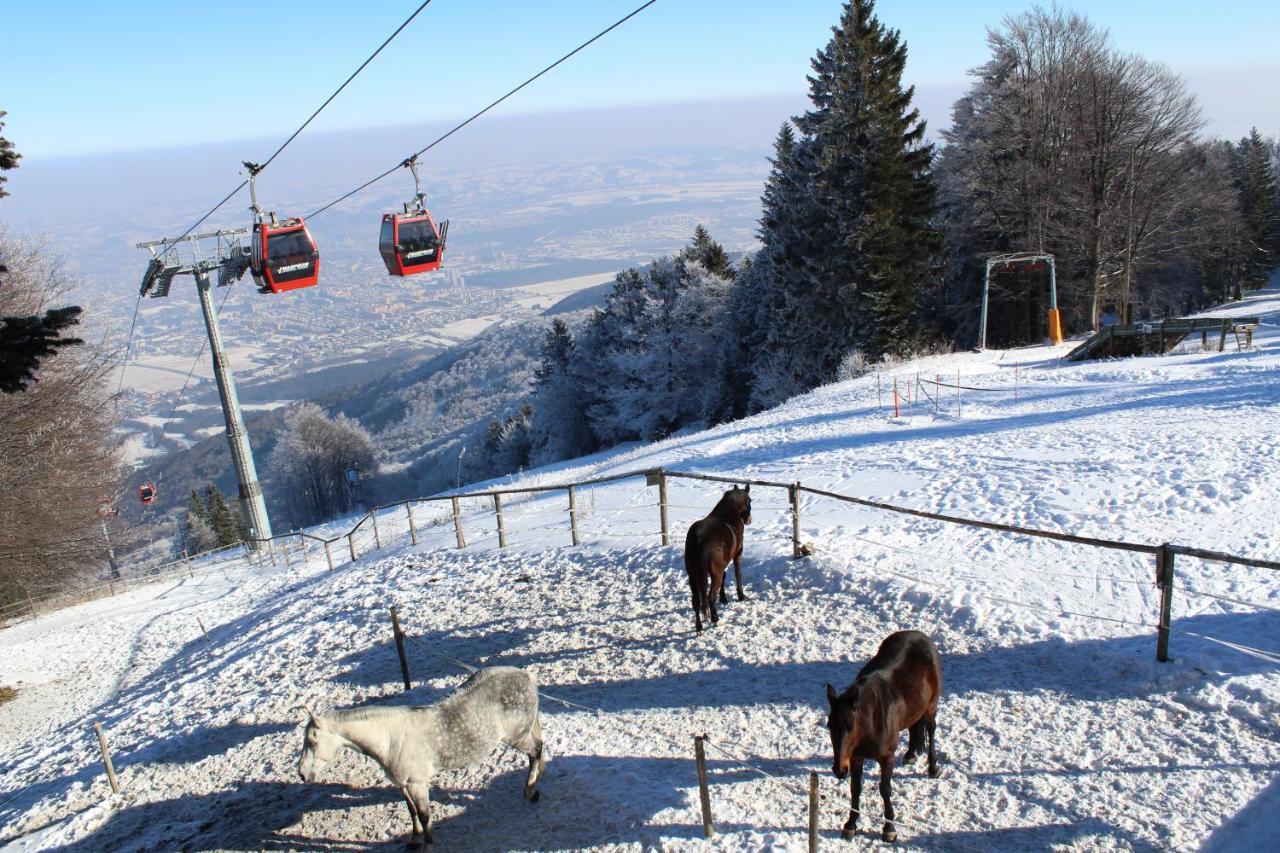 Pohorje Village Wellbeing Resort - Forest Hotel Videc Хочко Похорє Екстер'єр фото