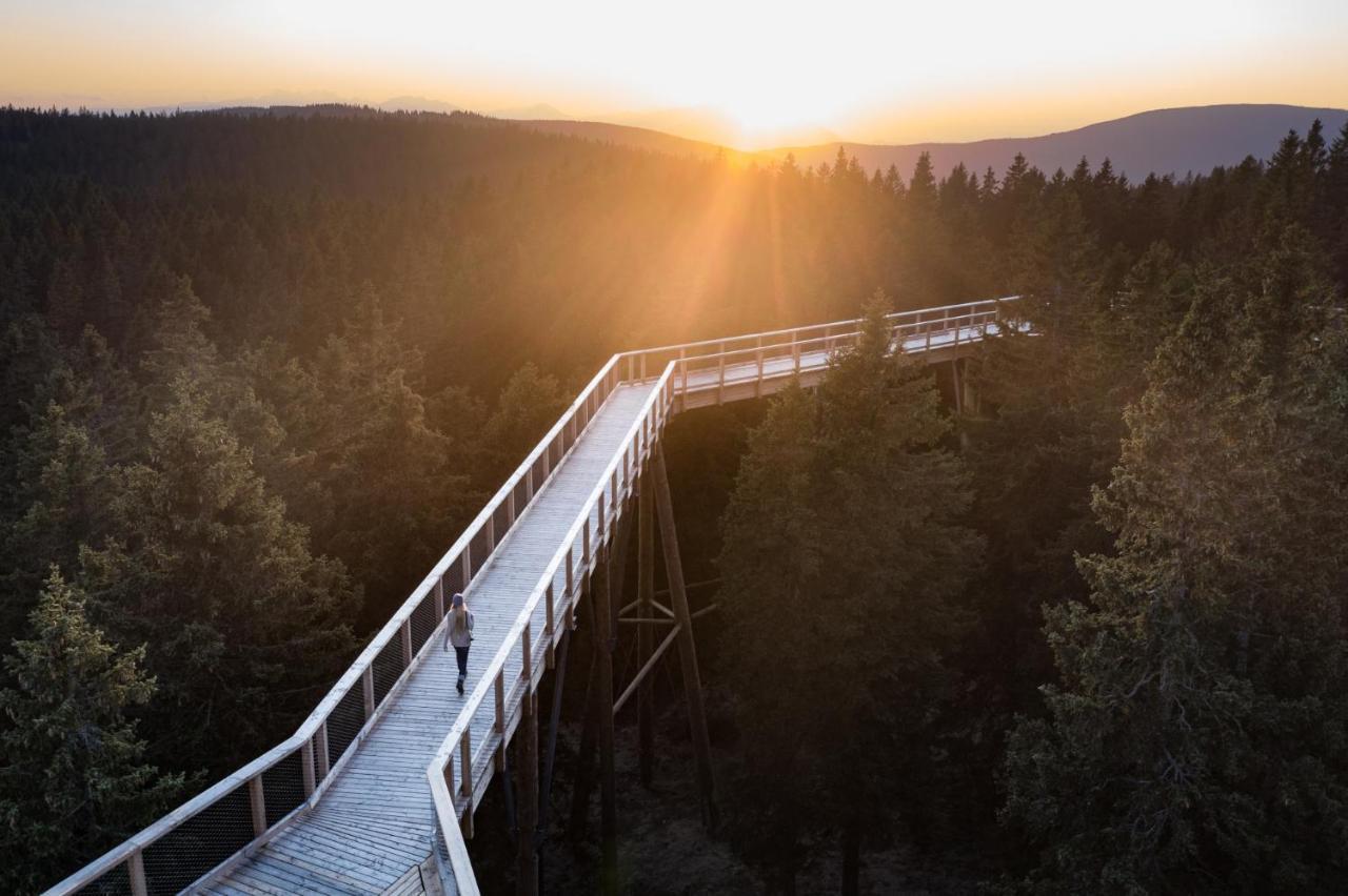 Pohorje Village Wellbeing Resort - Forest Hotel Videc Хочко Похорє Екстер'єр фото