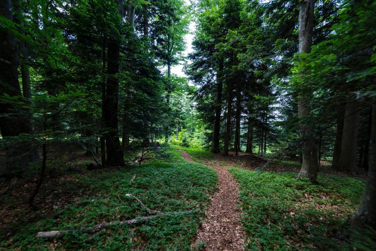 Pohorje Village Wellbeing Resort - Forest Hotel Videc Хочко Похорє Екстер'єр фото